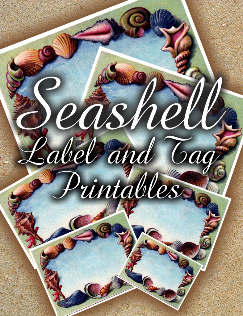 Seashell Label and Tag Printables | Late Night Coffee